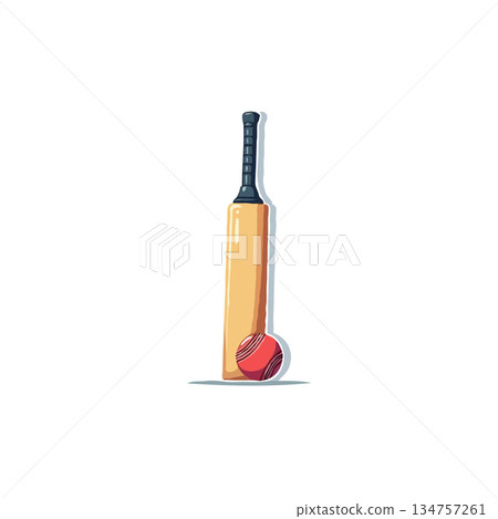 Isolated cricket bat and ball illustration showcasing sports equipment for recreational cricket 134757261