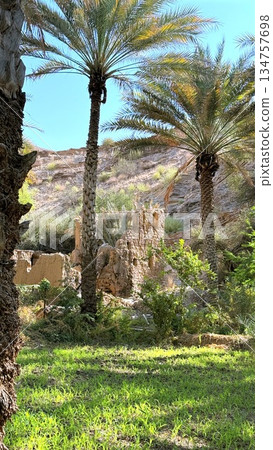 Desert Historical Environment, Ancient Archaeological Landscape Scene, Sunlit Desert Setting With Historic Ruins, Historic Oasis In Sunlit Desert Surrounded By Adobe Structures And Mountain Ranges Desert Historical Environment, Ancient Archaeological Landscape Scene, Sunlit Desert Setting With Historic Ruins, Historic Oasis In Sunlit Desert Surrounded By Adobe Structures And Mountain Ranges 134757698
