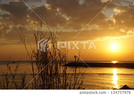 A large, bright, golden sun rises from the horizon against a backdrop of a stone pier, large rocks, and stalks of thatched grass. A golden path from the rising sun lays across the surface of the gentl 134757976