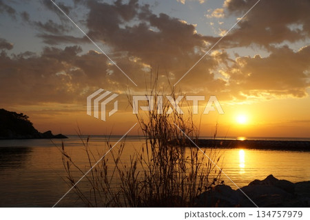 Golden sunrise from behind the horizon.A large, bright, golden sun rises from the horizon against a backdrop of a stone pier, large rocks, and stalks of thatched grass Golden sunrise from behind the horizon.A large, bright, golden sun rises from the horizon against a backdrop of a stone pier, large rocks, and stalks of thatched grass 134757979