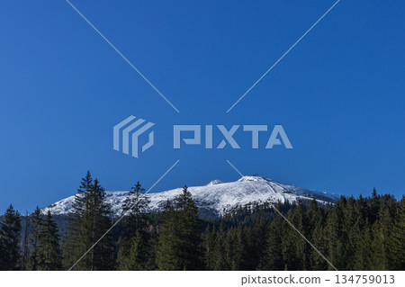 Snow-capped mountain peak under clear blue sky with forest in foreground. Snow-capped mountain peak under clear blue sky with forest in foreground. 134759013