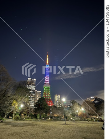 從芝公園眺望東京塔絢麗多彩的夜景 134759085