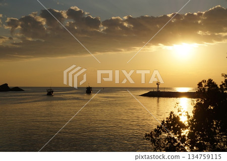A large, bright, golden orb of the sun rises from the horizon against a backdrop of a stone pier, large rocks, and stalks of thatched grass. A golden path from the rising sun lays across the surface o A large, bright, golden orb of the sun rises from the horizon against a backdrop of a stone pier, large rocks, and stalks of thatched grass. A golden path from the rising sun lays across the surface o 134759115