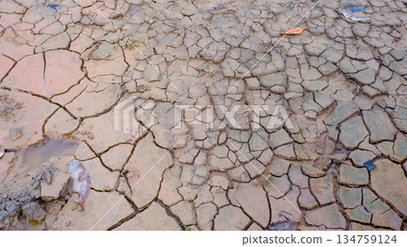 Dry Cracked Riverbed Texture with Fallen Leaves Dry Cracked Riverbed Texture with Fallen Leaves 134759124