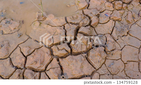 Deep Cracks in Dry Earth Near Water Edge 134759128