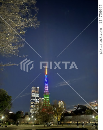 從芝公園眺望東京塔絢麗多彩的夜景 從芝公園眺望東京塔絢麗多彩的夜景 134759665