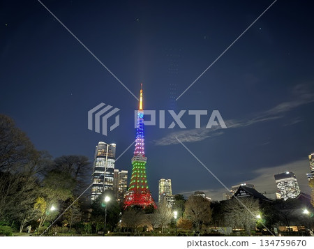 從芝公園眺望東京塔絢麗多彩的夜景 從芝公園眺望東京塔絢麗多彩的夜景 134759670