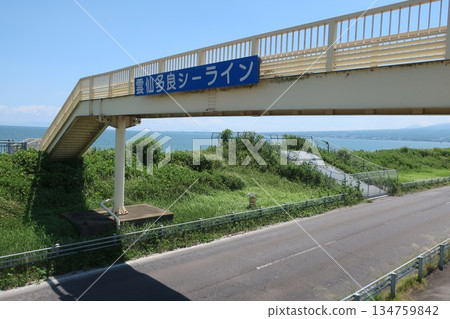 Unzen Takara Seiren Unzen Takara Seiren 134759842