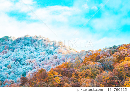 From autumn leaves to snow From autumn leaves to snow 134760315