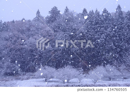下雪天 下雪天 134760505