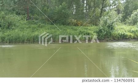 A serene riverbank scene, featuring lush green plants, calm waters, and a dense forest. Perfect for nature or tourism projects, embodying tranquility and natural beauty. 134760891