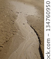 [Tottori] Tottori Sand Dunes: Sand wet with oasis water and sand ripples (Tottori City) 134760950