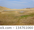 [Tottori] Oasis and dry grassland in the Tottori Sand Dunes (Tottori City) 134761060
