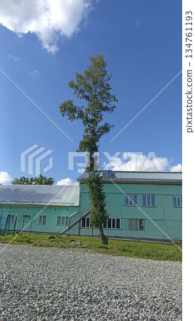 This image shows a green building with a tall tree in front, set against a blue sky with clouds. It is ideal for educational, architectural, or nature-themed projects, evoking tranquility. This image shows a green building with a tall tree in front, set against a blue sky with clouds. It is ideal for educational, architectural, or nature-themed projects, evoking tranquility. 134761193
