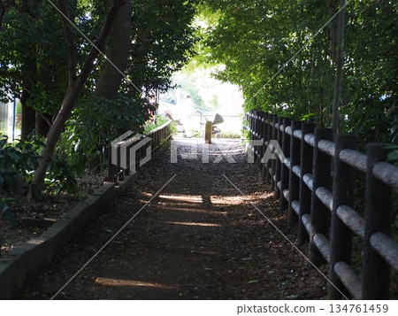 Tamagawa Kamimizu 134761459