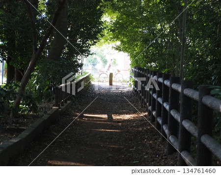 Tamagawa Kamimizu 134761460