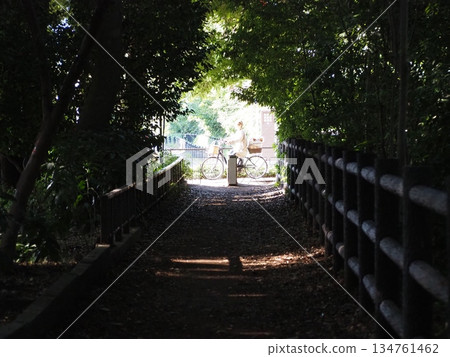 多摩川Kamimizu 134761462