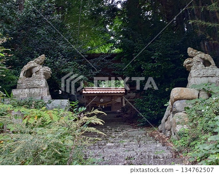 岡山縣的千屋神社坐落在茂密的森林中,神社的階梯、大門和參拜殿內的守護獅子雕像都充滿了神秘而靈異的氛圍。 岡山縣的千屋神社坐落在茂密的森林中,神社的階梯、大門和參拜殿內的守護獅子雕像都充滿了神秘而靈異的氛圍。 134762507