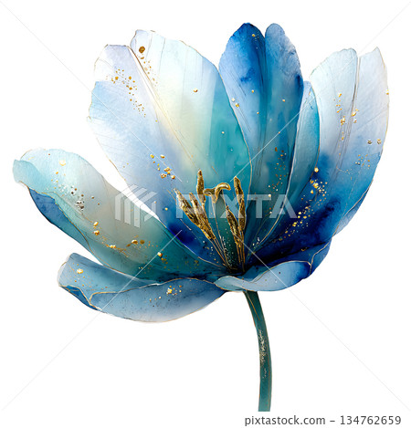 Beautiful watercolor blue tulip flower illustration with gold dust and stem, elegant translucent floral blossom isolated on white background for spring decoration. Beautiful watercolor blue tulip flower illustration with gold dust and stem, elegant translucent floral blossom isolated on white background for spring decoration. 134762659