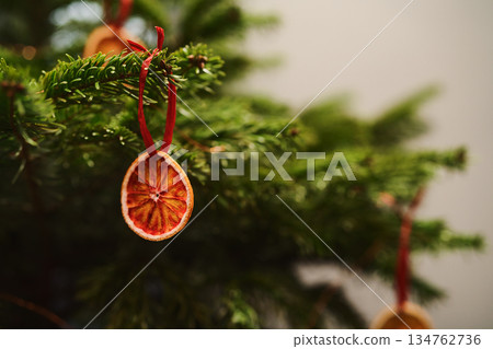 Closeup small christmas tree with dried oranges as decorations for holidays Closeup small christmas tree with dried oranges as decorations for holidays 134762736