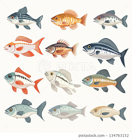 Diverse Fish Collection A Colorful Array of Aquatic Species for Educational and Decorative Use 134763152
