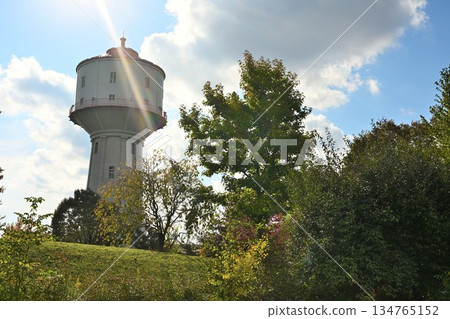 水道公園的水塔被秋葉環繞（新潟縣長岡市） 134765152