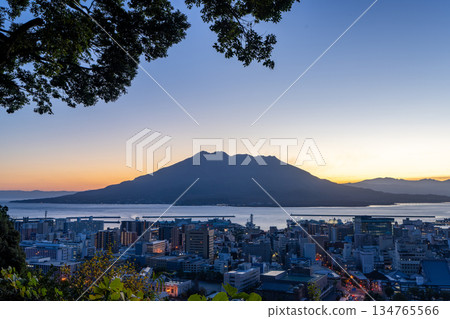 櫻島早期 櫻島早期 134765566