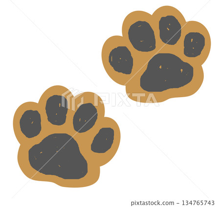 Paw prints of cute pets like cats and dogs walking 134765743