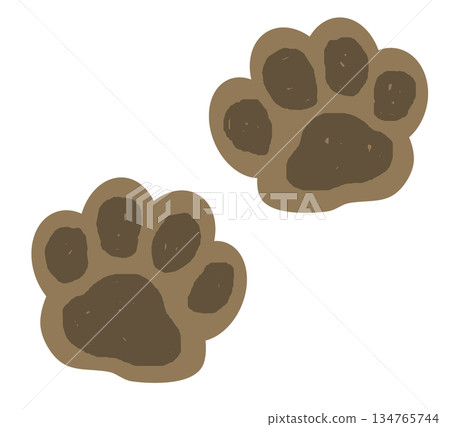Paw prints of cute pets like cats and dogs walking 134765744