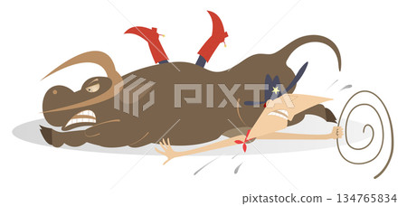 Rodeo bull rider cowboy. Farmer Farmer or cowboy with lasso lays under the bull. Isolated on white background 134765834