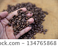 hand hold roasted coffee bean from fresh roasting in home cafe 134765868
