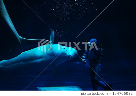 白鯨表演場景 134766082