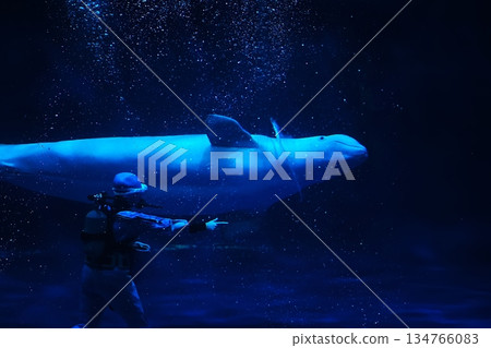 白鯨表演場景 134766083