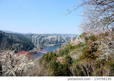 Nara City, Nara Prefecture, Tsukigase Bridge 7, March 2025 Nara City, Nara Prefecture, Tsukigase Bridge 7, March 2025 134766190