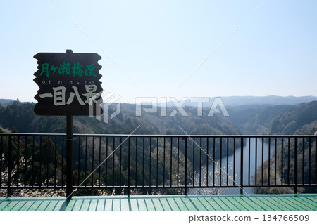 奈良縣奈良市月瀨梅林 5_2025年3月 134766509