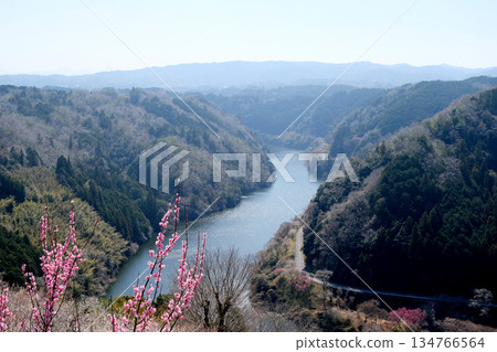 Nara City, Nara Prefecture_View from Tsukigase Plum Grove 50_March 2025 Nara City, Nara Prefecture_View from Tsukigase Plum Grove 50_March 2025 134766564