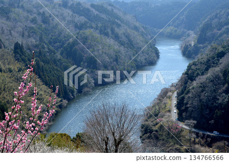 Nara City, Nara Prefecture_View from Tsukigase Plum Grove 2_March 2025 Nara City, Nara Prefecture_View from Tsukigase Plum Grove 2_March 2025 134766566