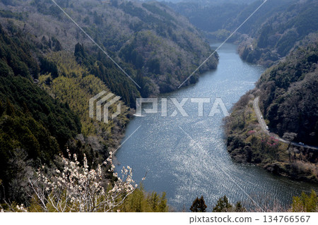 Nara City, Nara Prefecture_View from Tsukigase Plum Grove 3_March 2025 Nara City, Nara Prefecture_View from Tsukigase Plum Grove 3_March 2025 134766567