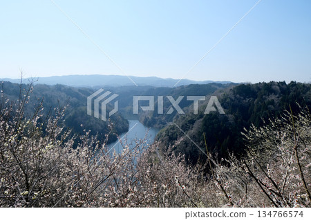 Nara City, Nara Prefecture_View from Tsukigase Plum Grove 10_March 2025 Nara City, Nara Prefecture_View from Tsukigase Plum Grove 10_March 2025 134766574
