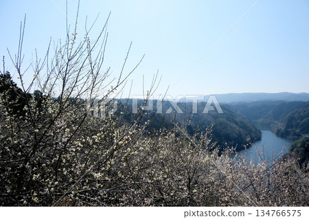 Nara City, Nara Prefecture_View from Tsukigase Plum Grove 11_March 2025 Nara City, Nara Prefecture_View from Tsukigase Plum Grove 11_March 2025 134766575