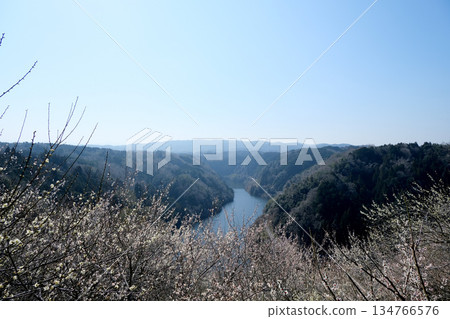 Nara City, Nara Prefecture_View from Tsukigase Plum Grove 12_March 2025 Nara City, Nara Prefecture_View from Tsukigase Plum Grove 12_March 2025 134766576