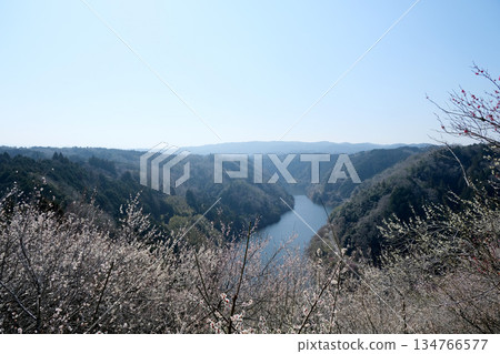 Nara City, Nara Prefecture_View from Tsukigase Plum Grove 13_March 2025 Nara City, Nara Prefecture_View from Tsukigase Plum Grove 13_March 2025 134766577