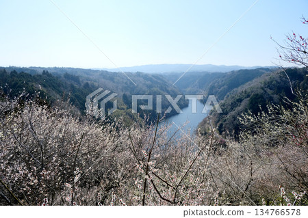 Nara City, Nara Prefecture_View from Tsukigase Plum Grove 14_March 2025 Nara City, Nara Prefecture_View from Tsukigase Plum Grove 14_March 2025 134766578