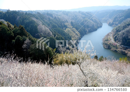 Nara City, Nara Prefecture_View from Tsukigase Plum Grove 16_March 2025 Nara City, Nara Prefecture_View from Tsukigase Plum Grove 16_March 2025 134766580