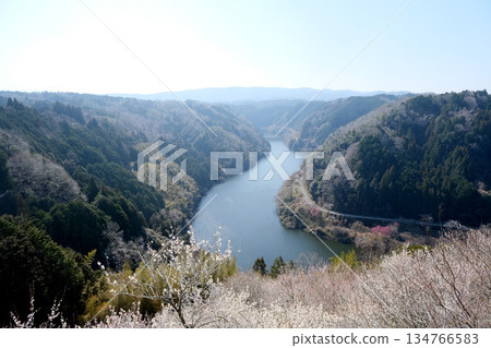 Nara City, Nara Prefecture_View from Tsukigase Plum Grove 19_March 2025 Nara City, Nara Prefecture_View from Tsukigase Plum Grove 19_March 2025 134766583