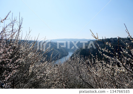 Nara City, Nara Prefecture_View from Tsukigase Plum Grove 21_March 2025 Nara City, Nara Prefecture_View from Tsukigase Plum Grove 21_March 2025 134766585