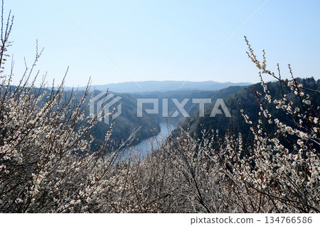 Nara City, Nara Prefecture_View from Tsukigase Plum Grove 22_March 2025 Nara City, Nara Prefecture_View from Tsukigase Plum Grove 22_March 2025 134766586