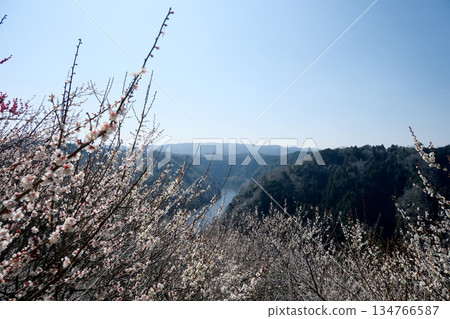 Nara City, Nara Prefecture_View from Tsukigase Plum Grove 23_March 2025 Nara City, Nara Prefecture_View from Tsukigase Plum Grove 23_March 2025 134766587