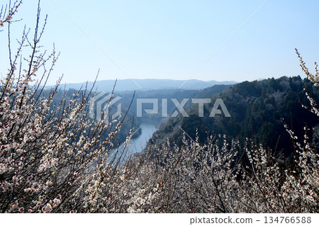 Nara City, Nara Prefecture_View from Tsukigase Plum Grove 24_March 2025 Nara City, Nara Prefecture_View from Tsukigase Plum Grove 24_March 2025 134766588
