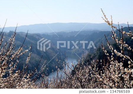 Nara City, Nara Prefecture_View from Tsukigase Plum Grove 25_March 2025 Nara City, Nara Prefecture_View from Tsukigase Plum Grove 25_March 2025 134766589